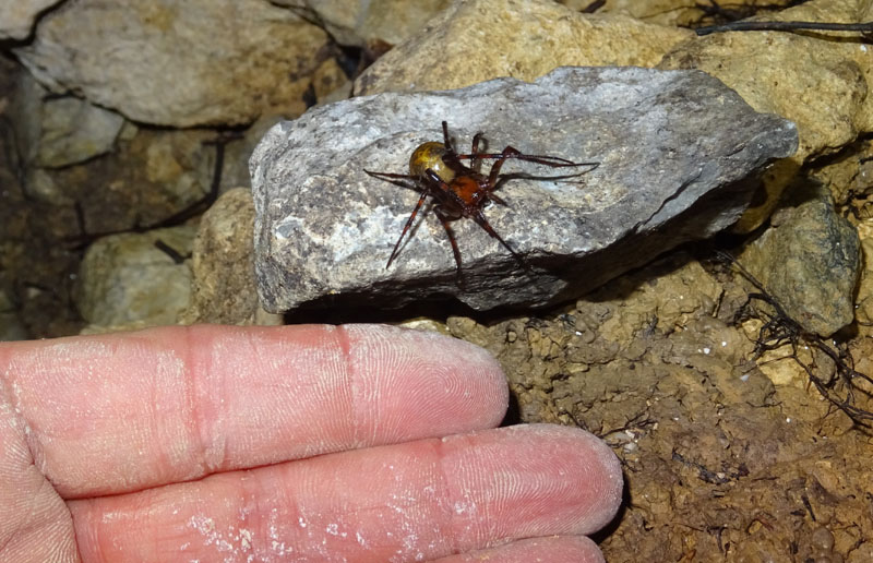 al buio, in grotta........da determinare